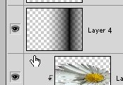 Creation of Daisy Gallery: Step 9